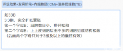 试管婴儿囊胚成功率有多大